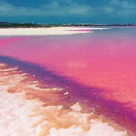 Concordia Playa Apartamento Torrevieja